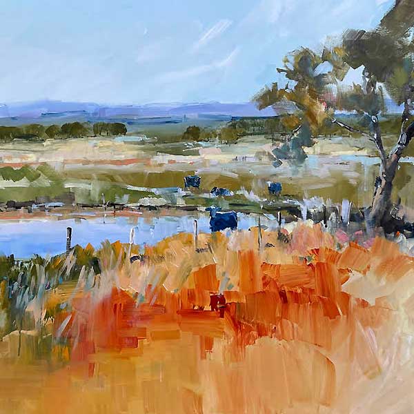 summer grsses, australia landscape, small river, 
