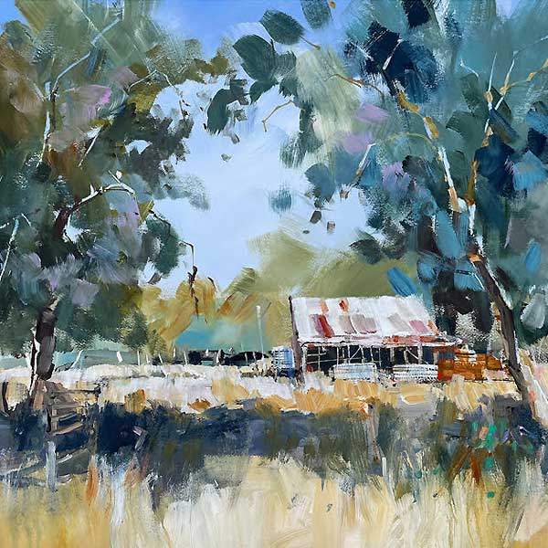 old shed, clearing, gum trees, shade, grass, australia bush scene, 